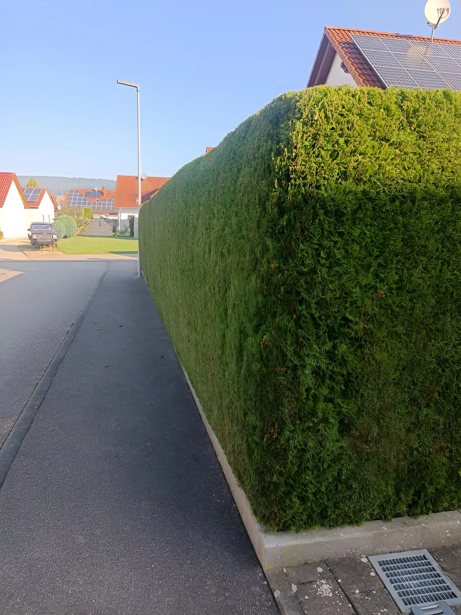 Referenzprojekt: Gartenpflege