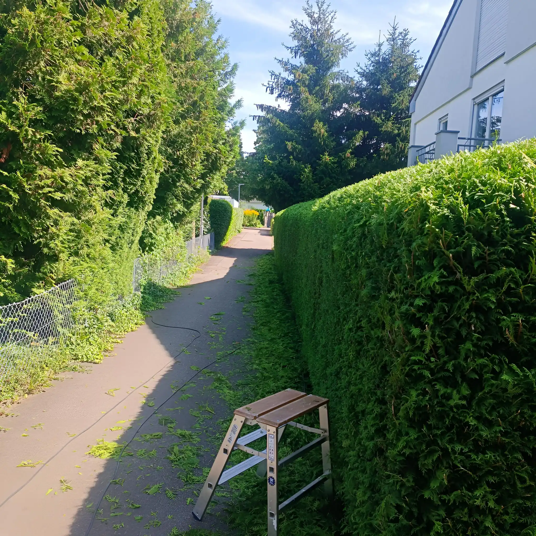 Referenzprojekt: Gartenpflege