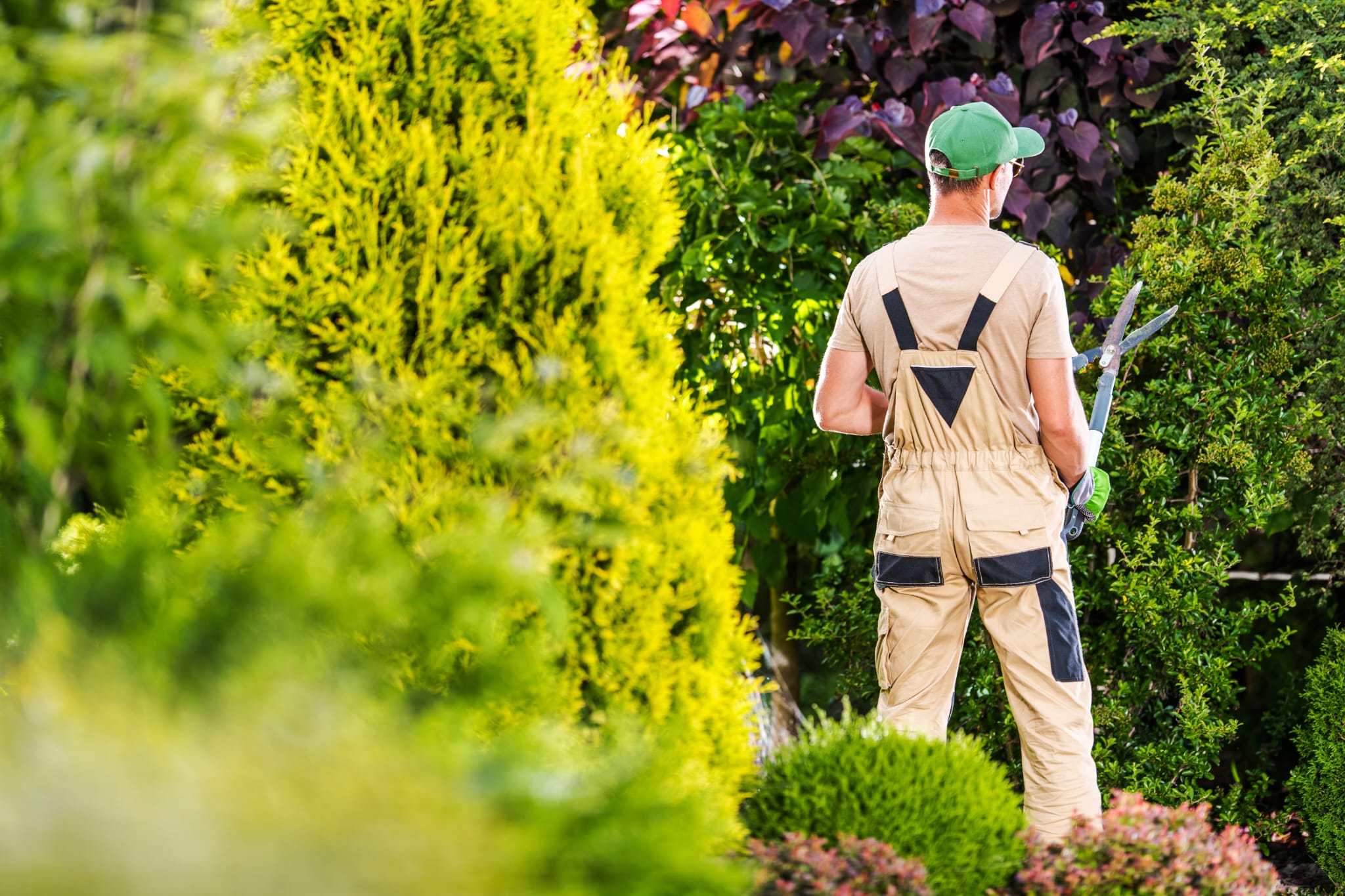 Leistung: Gartenpflege